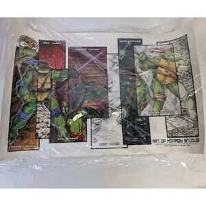 TMNT Art of Mirage Studios 25th Anniversary Print Artist Eastman Dooney (2009)